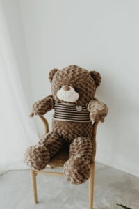 Gấu bông teddy 1M