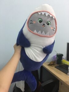 gấu bông mèo cosplay cá mập siêu cute
